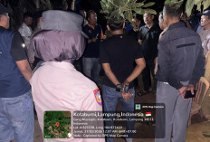 Polisi Gerebek Sabung Ayam di Lampung Utara, Satu Orang Hilang Usai Lompat ke Sungai