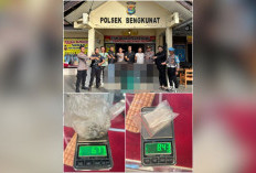 Bawa Sabu dan Ganja, Dua Pria Dibekuk Polsek Bengkunat Saat Patroli Dini Hari