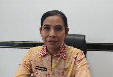 25 Merek Beras Jadi Sorotan, Pemkot Bandar Lampung Belum Cabut Izin Peredaran