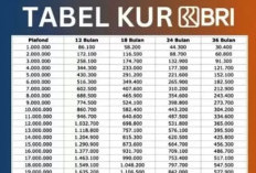 Lengkap dan Terbaru! Panduan Ajukan KUR BRI Rp10 Juta Tahun 2026, Solusi Modal UMKM