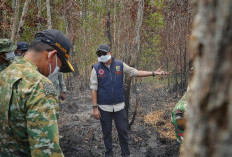 Gubernur Mirza Tinjau Karhutla Way Kambas, Kesehatan Warga Terdampak Asap Jadi Prioritas