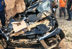 Tiga Jam Evakuasi Pengemudi Mobil Tertimpa Pohon di Hotel Holiday In Berhasil diselamatkan