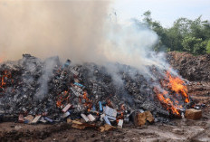 Penerimaan Bea Cukai Sumatera Bagian Barat Capai Rp 466,63 Miliar pada Triwulan I 2026