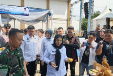 Pemkot Bandar Lampung Lestarikan Kuliner Khas Lewat Lomba Masakan Tradisional