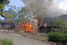 BREAKING NEWS! Kebakaran Hanguskan Rumah Warga di Pekon Kenali