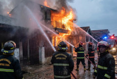 30 Kebakaran Terjadi di Lampung Utara Sepanjang 2025, Kerugian Tembus Rp1,5 Miliar