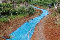 Gotong Royong Warga Rigis Bangun Jalan Produksi, Dorong Akses Perkebunan Lebih Lancar
