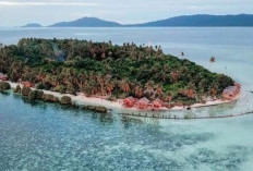 Pesona Desa Arborek di Raja Ampat, Surga Tropis dengan Keindahan Alam dan Budaya Autentik