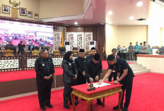 DPRD Bandar Lampung Bentuk Dua Pansus untuk Awasi Tindak Lanjut LHP BPK RI