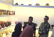 DPD RI Tinjau Rumah BUMN, PLN UID Lampung Perkuat Pembinaan UMKM Naik Kelas