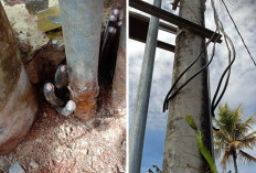 Kabel Tembaga Trafo Digondol Maling, Tiga Wilayah Lampung Barat Alami Pemadaman Listrik
