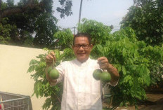 Tragedi Wira Garden, Akademisi Unila Kritik Lemahnya Keselamatan Wisata Alam