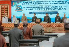 HUT ke-19 Pesawaran, Gubernur Mirza Ajak Perkuat Kolaborasi Bangun SDM dan Percepat Pembangunan
