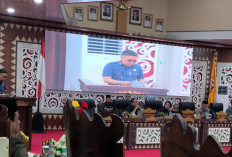NasDem Dorong Penyertaan Modal Bank Lampung Tingkatkan PAD Bandar Lampung