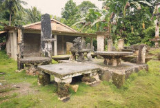 Gomo Nias Selatan, Jejak Awal Peradaban dan Pusat Budaya Asli Pulau Nias