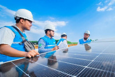 HLN 2026: PLN Perkuat Energi Berkelanjutan dan Pelayanan kepada Masyarakat