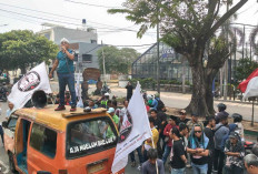 ALAMBAKA Pertanyakan Dugaan Tambang Emas di HGU PTPN I Regional 7