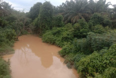 Diduga Cemari Sungai, Aktivitas PT Kencana Acidindo Perkasa Diprotes Warga