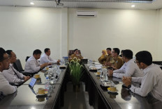 Listrik Pulau Sebuku Didorong Lebih Andal, Lahan PLTS Mulai Disiapkan 