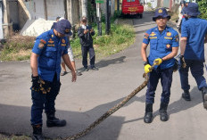 Aksi Penyelamatan di Libur Lebaran, Damkarmat Bandar Lampung Tangani Beragam Insiden Non-Kebakaran