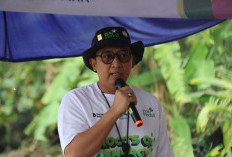33.000 Mangrove Ditanam, PLN UID Lampung Tegaskan Komitmen Lingkungan Berkelanjutan