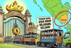 Pemprov Lampung Susun Pergub Larangan Jual Ayam Hidup ke Luar Daerah