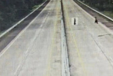 Terobos Tol Bakter, Satu Meninggal Dunia Usai Tertabrak