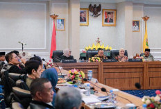 Wagub Jihan Apresiasi Kolaborasi Strategis dengan BULD DPD RI untuk Penguatan Regulasi Daerah