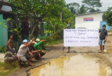 Jalan Rusak Parah, Warga Trimurjo Lampung Tengah Tebar Lele untuk Protes