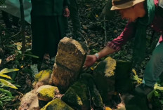 Jejak Budaya Megalitik di Gunung Tangkil Sukabumi Jawa Barat