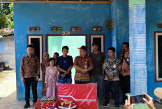 BPBD Pesbar Tinjau Rumah Tertimpa Pohon, Korban Terima Bantuan