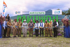 Desa Pajambon Bersinar Lewat Program Desa BRILiaN, Transformasi Ekonomi Berbasis Potensi Lokal