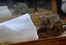 Mumi dalam Peradaban Mesir Kuno: Keyakinan, Proses, dan Makna Budaya