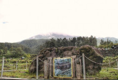 Mitos Batu Gajah di Tapanuli Tengah: Warisan Budaya Sarat Nilai Kehidupan