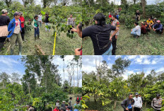 Tragedi di Pekon Jagaraga, Pelaku Habisi Nyawa Korban Secara Brutal