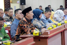 Ancaman El Nino Godzilla 2026, Lampung Selatan Fokus Ketahanan Pangan dan Irigasi