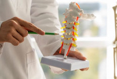 Tulang Panggul: Fondasi Gerak Tubuh, Fungsi Vital, dan Gangguan yang Perlu Diantisipasi