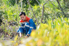 Hutan Lestari Pertamina: Dari Bali hingga Lampung, Alam Pulih dan Ekonomi Bangkit