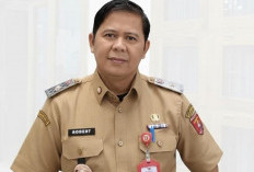 Realisasi Investasi di Lampung Barat Tembus Rp206 Miliar