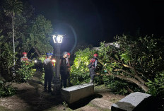 Sigap Evakuasi Pohon Tumbang, Pamapta 1 Polres Lampung Utara Hadir di Bunga Mayang