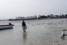 Pantai Pelindo Bandar Lampung Mengalami Surut 200 Meter, Camat: Terjadi Setiap Kemarau 