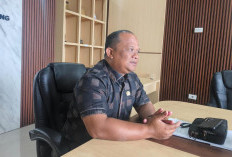 DPRD Ingatkan Revisi RTRW Harus Perkuat Perlindungan RTH Bandar Lampung