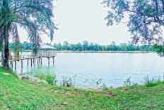 Danau Bekri, Ruang Sunyi di Lampung Tengah yang Menyimpan Pesona Alami