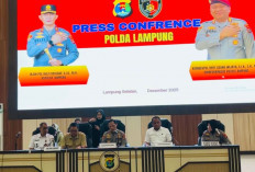 Ditreskrimsus Polda Lampung Hentikan Penyelidikan Temuan Gelondongan Kayu di Pesisir Barat