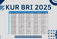 KUR BRI Desember 2025: Pinjaman Rp50 Juta dengan Cicilan Mulai Rp1 Jutaan