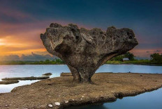 Pesona Tersembunyi Jeneponto: Surga Wisata Alam yang Belum Banyak Tersentuh