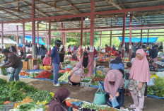 Harga Kebutuhan Pokok di Pasar Liwa Stabil Awal April 2026, Daya Beli Warga Terjaga