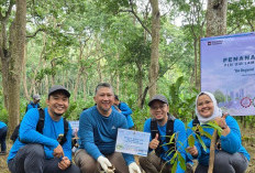 Hari Lingkungan Hidup Sedunia, PLN UID Lampung Tanam Pohon dan Perkuat Komitmen Pelestarian Lingkungan