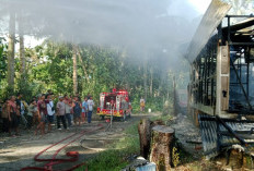 Jitupasna Segera Tinjau Lokasi Kebakaran di Way Krui, Korban Akan Didata