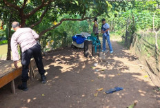 Judi Kartu Slintir di Kotabumi Digerebek, Pelaku Nekat Lompat ke Sungai Way Sesah